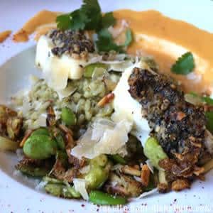 Dos de Cabillaud crumble et son risotto à l'oseille