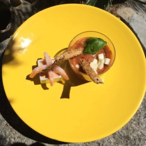 tomate-mozarella-crevettes