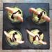 Verrines Mousse d'Avocat et Crevettes