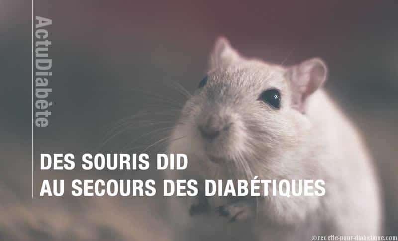 patch-diabete
