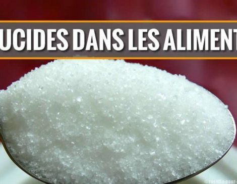 Glucides dans les aliments