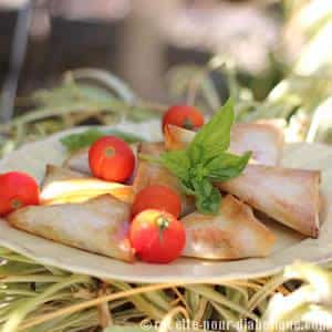 Samoussas Tomates mozzarella