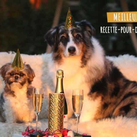 Santé, Bonheur et Prospérité !