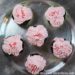 Cupcakes Betterave Chocolat: Beetroot Cake