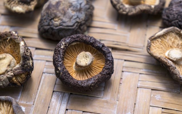 shiitake