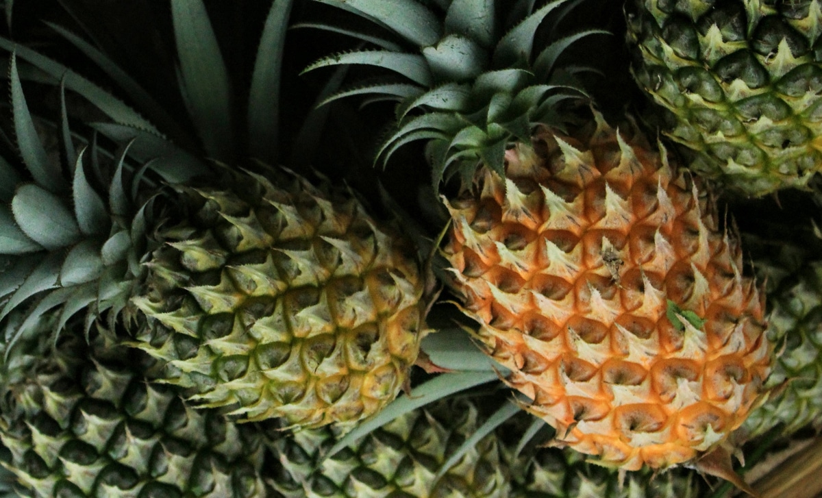 ananas