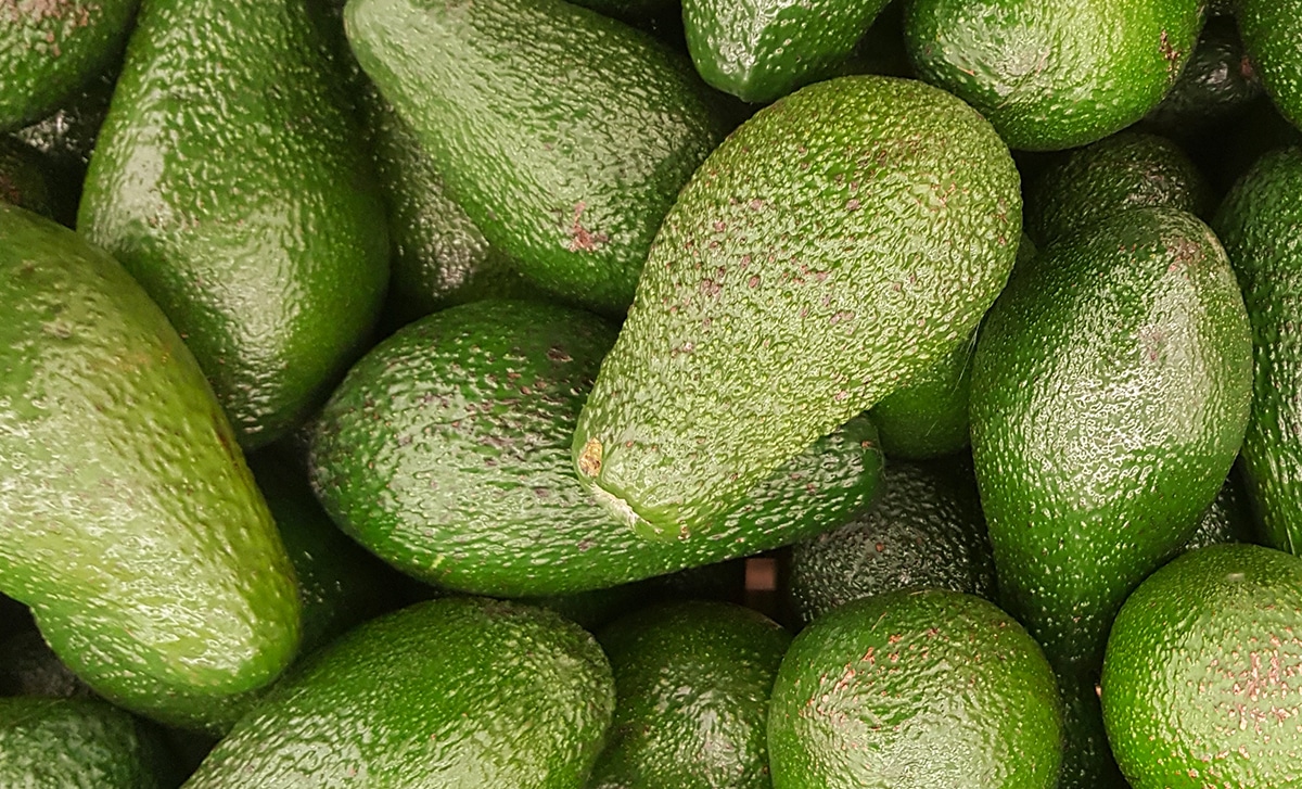 avocat