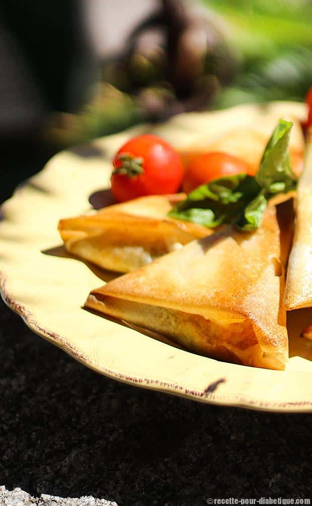samoussa-tomate-mozzarella