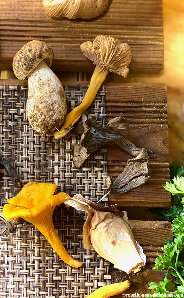 champignons-des-bois