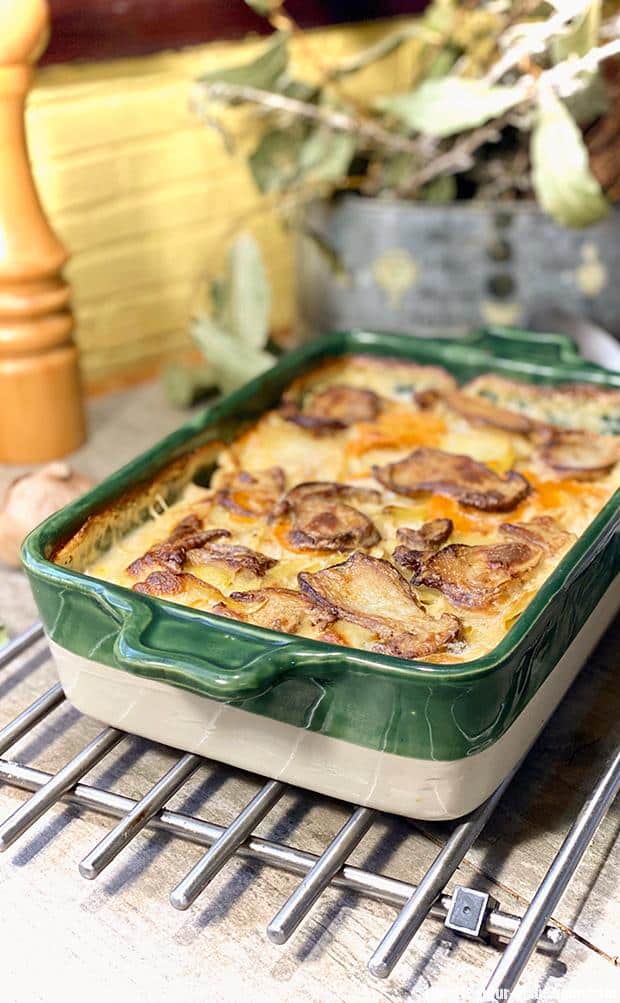 gratin-cepes-carottes
