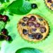 Clafoutis aux cerises sans sucre