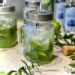 Virgin Mojito Orezza (sans sucre)