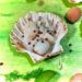 Carpaccio de Saint-Jacques aux Lychees