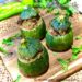 Courgettes farcies à l'Orientale