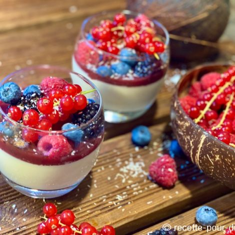 Panna Cotta aux Fruits rouges et lait de coco