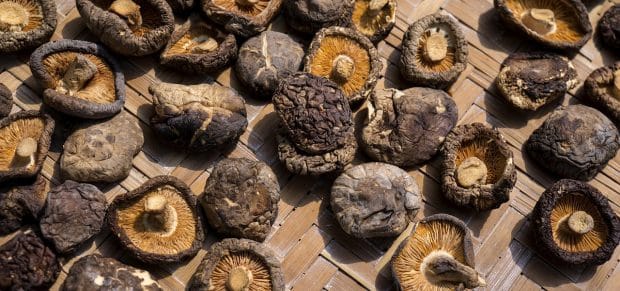 champignons shiitaké