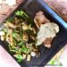Boeuf sauce Saint Agur