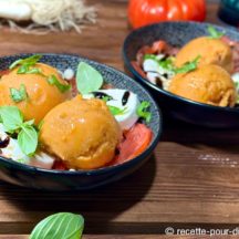Sorbet au Gaspacho