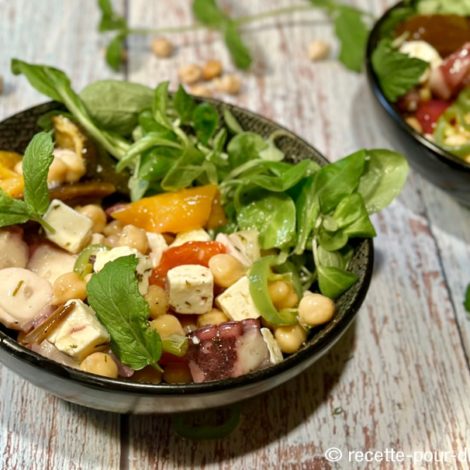 Bowl Grec au Poulpe