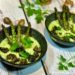 Délice d'Asperges aux Escargots