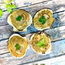 coquilles saint jacques ig bas