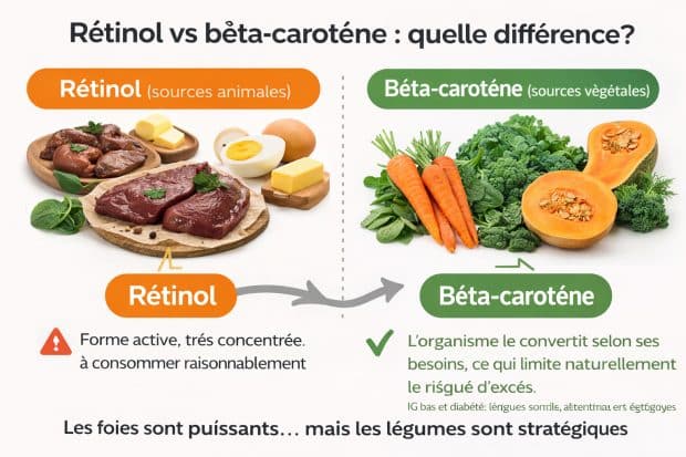 Rétinol vs bêta-carotène : quelle différence ?