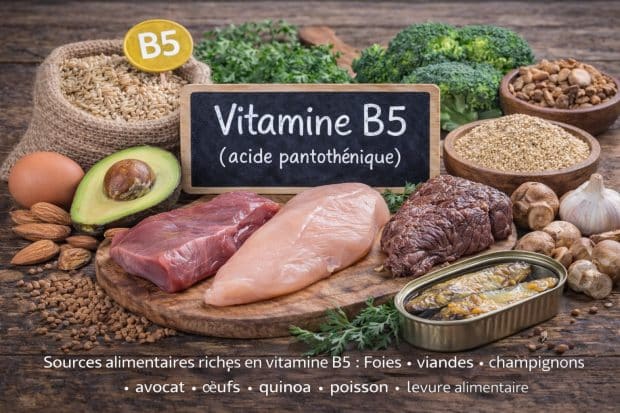 vitamine-b5