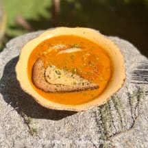 soupe de chapon rascasse