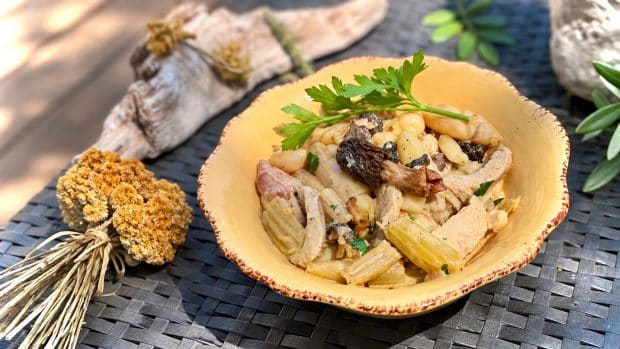Poulet aux morilles et à la crème